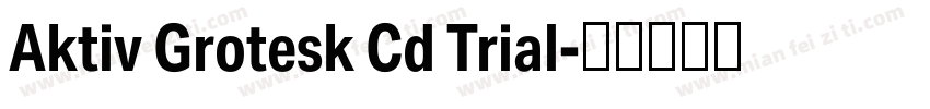 Aktiv Grotesk Cd Trial字体转换